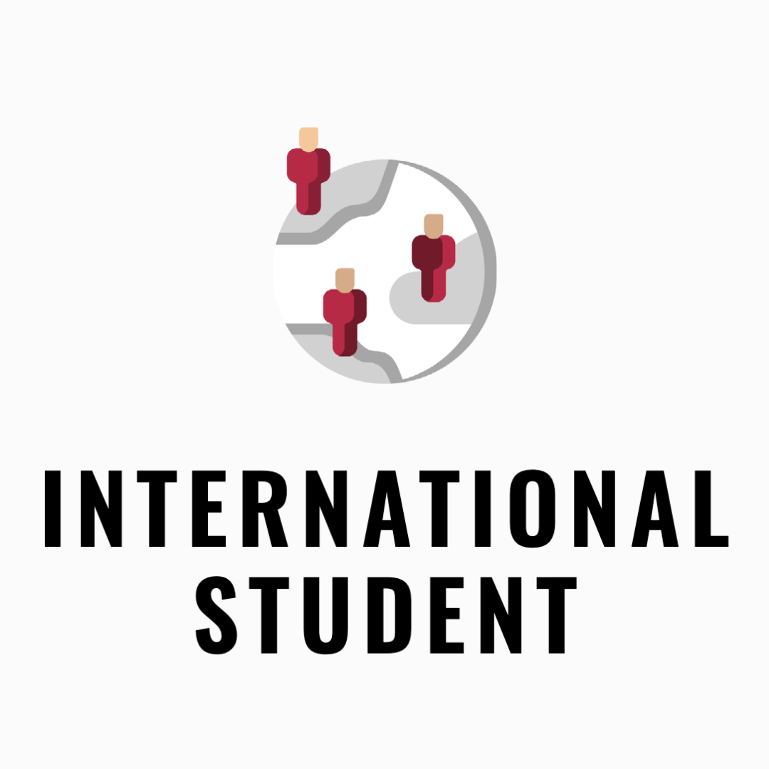 INternational Student icon