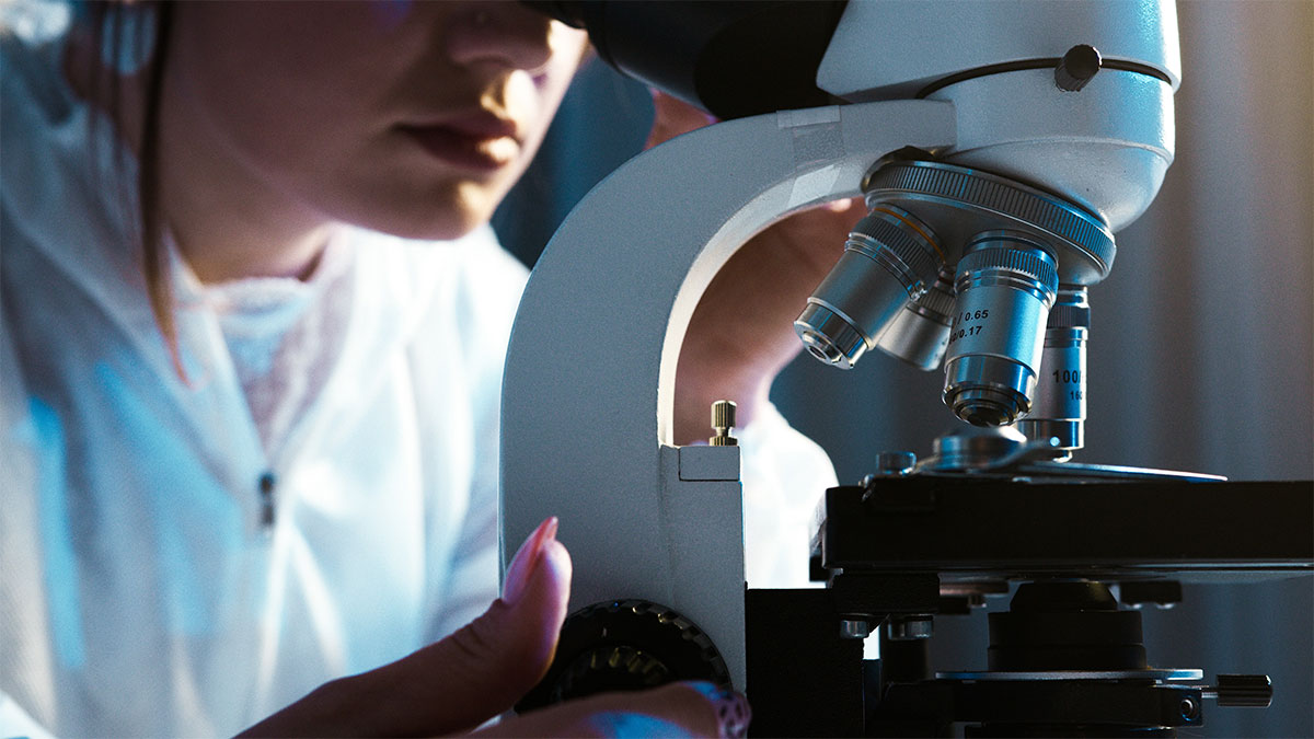 Study Biology Valley City State University Study Biology Valley City State University