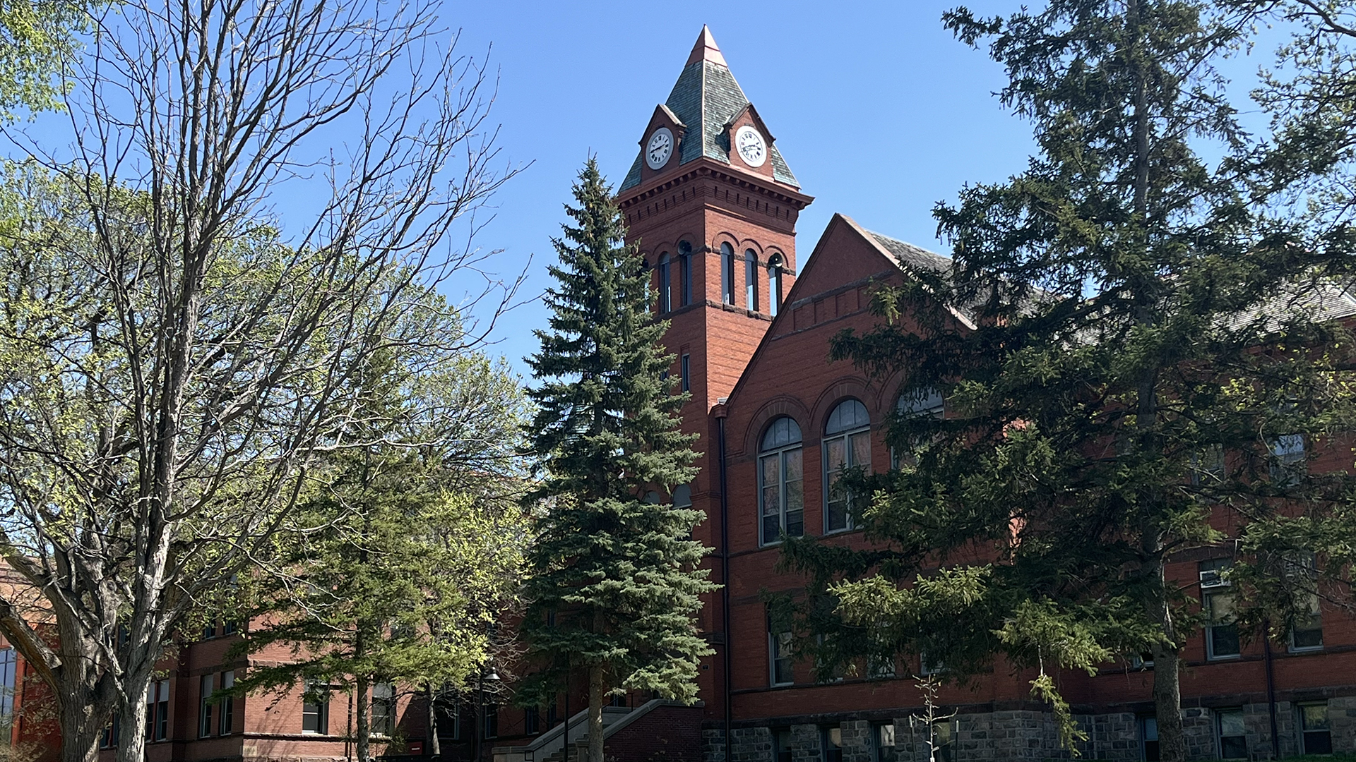 VCSU's McFarland Hall clocktower stands tall among green trees that are putting on their spring leafs.