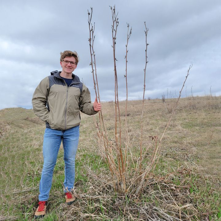 Jacob standing next to a compass plant taller than him.