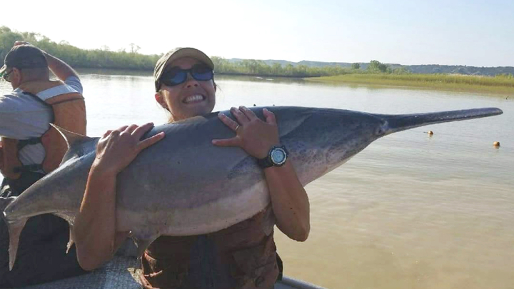 Amy (Doll) Gebhardt with a paddle fish on the Missouri River