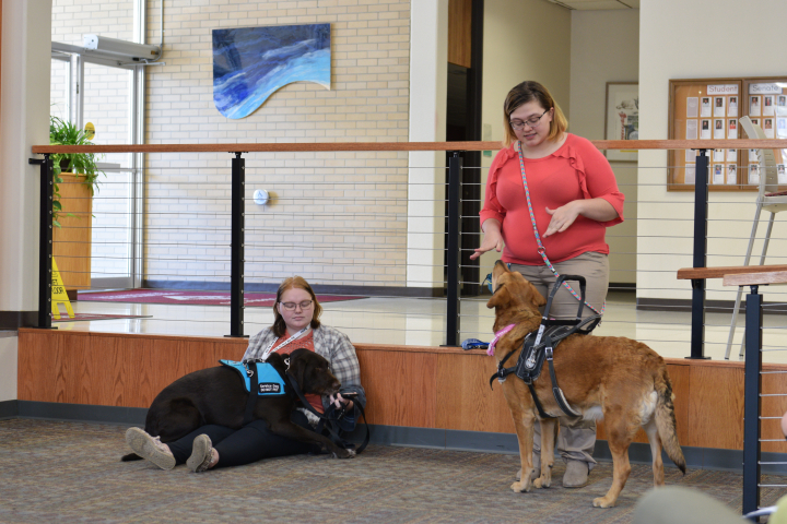 students demonstrating with service dogs