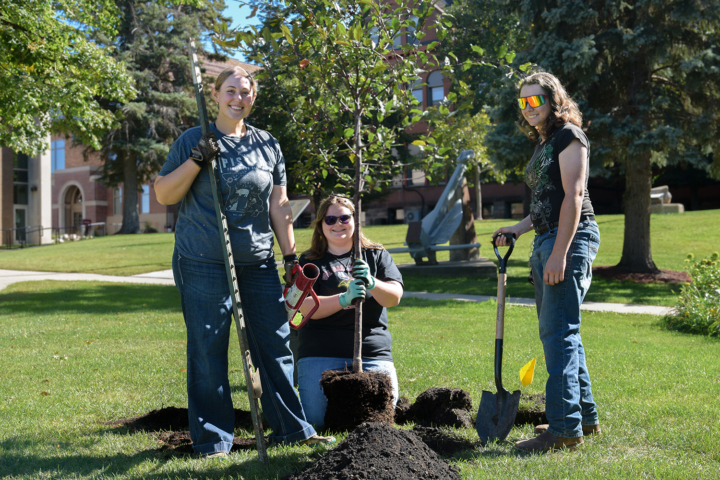 three female students smiling for camera while planting tree and holding shovels