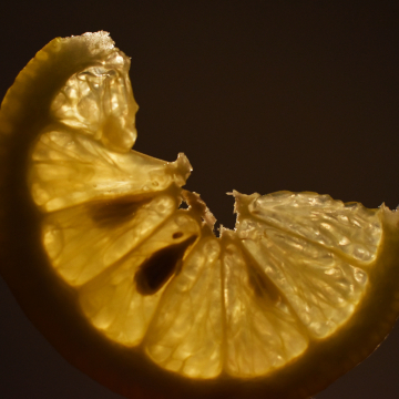 close up of lemon slice