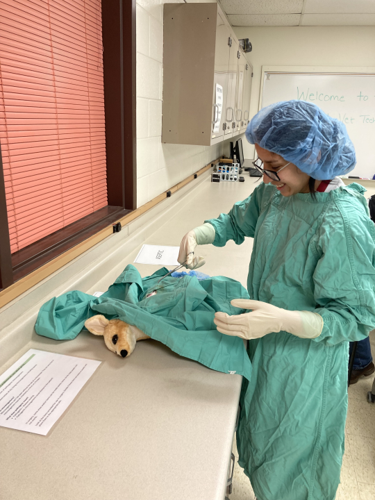 INSTEM student surgery simulation