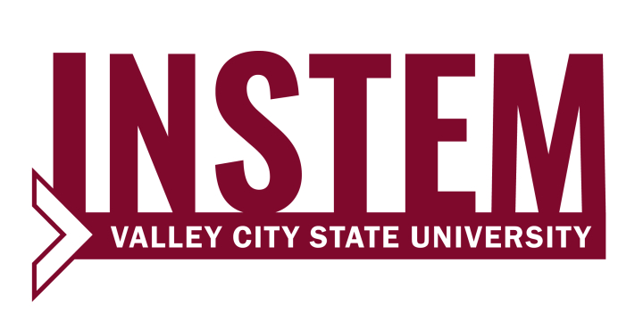 INSTEM at Valley City State University logo