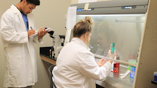 VCSU students conducting research in the lab