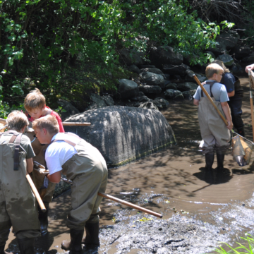 Students with nets and waders in the Sheyenne River