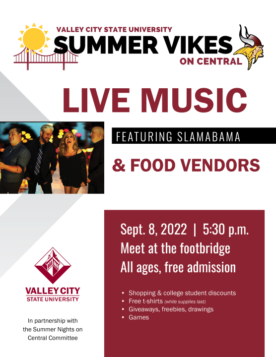 Summer Vikes poster