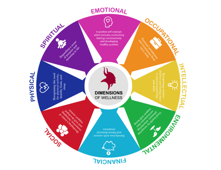 Graphic logo for VCSU's 8 Dimensions of Wellness