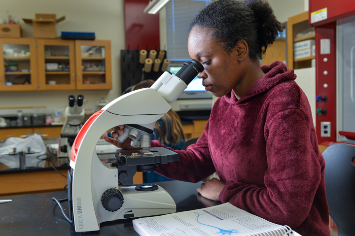 A student in a biology lab working with a microscope in Rhoades Science Center.