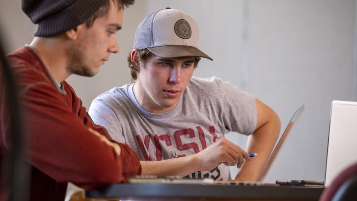 Male students working on laptop