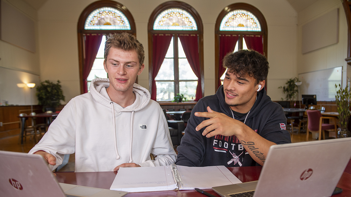 Two male students studying together