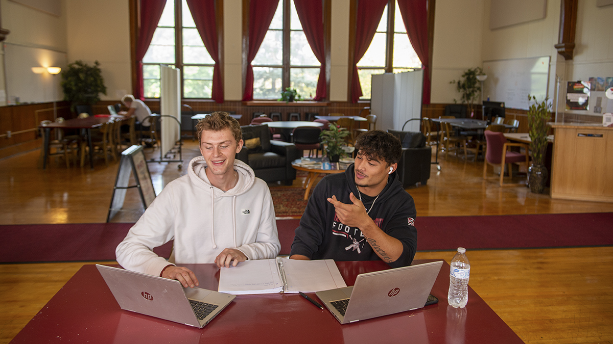 Two male students studying together