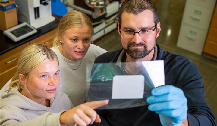 Science professor looks at educational material with two students