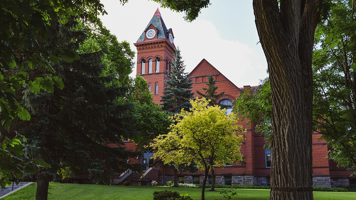 McFarland building through the trees