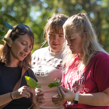 students studying plants