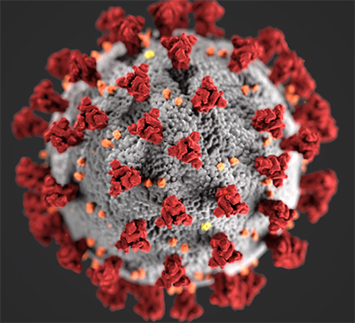 coronavirus