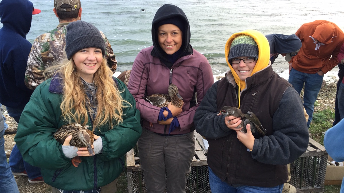 We annually band mallards and wood ducks during Introduction to Fisheries and Wildlife Science class.
