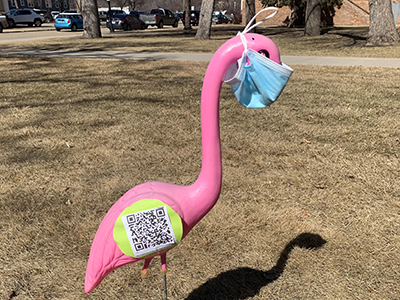 pink lawn flamingo with QR code and mask