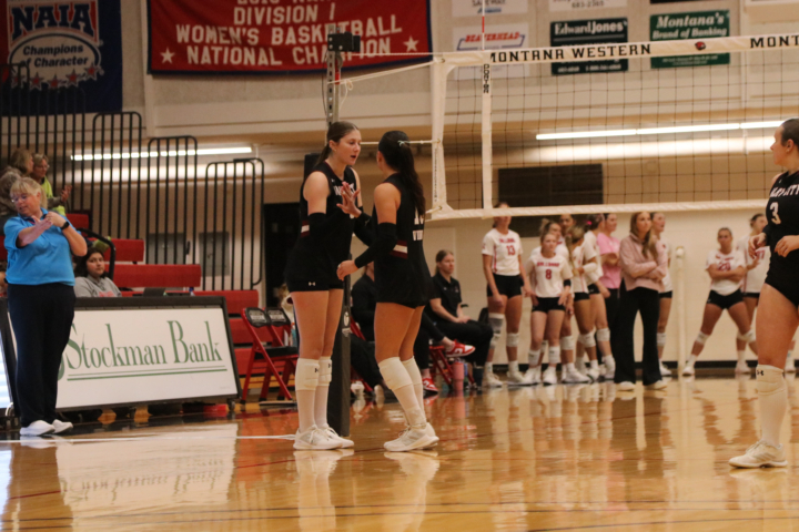 volleyball 