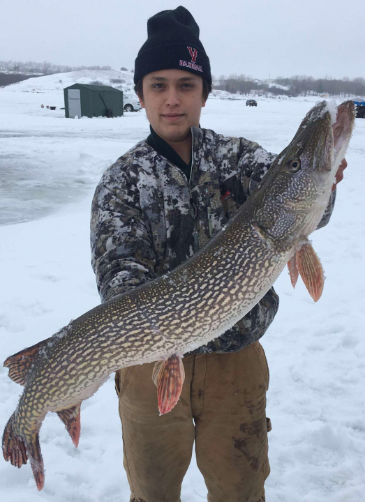 A student holding a northern pike during winter ice fishing season