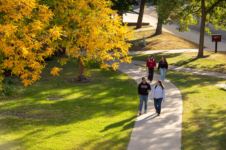 Students walking on a sidewalk outdoors on the VCSU campus with fall foliage in the foreground.