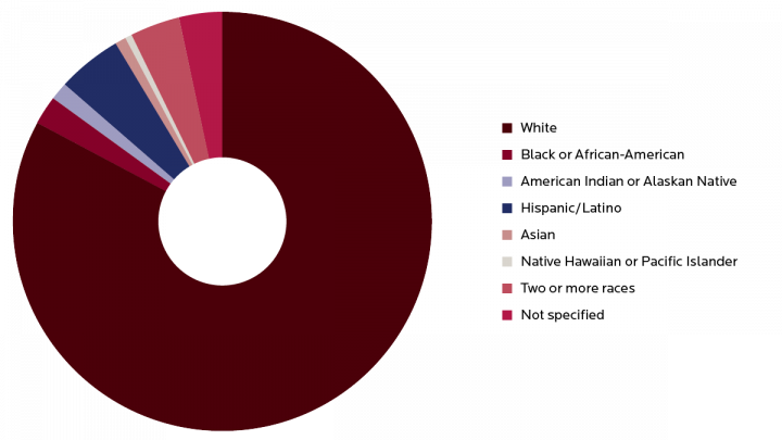Pie chart of freshman 2019 student race and ethnic information